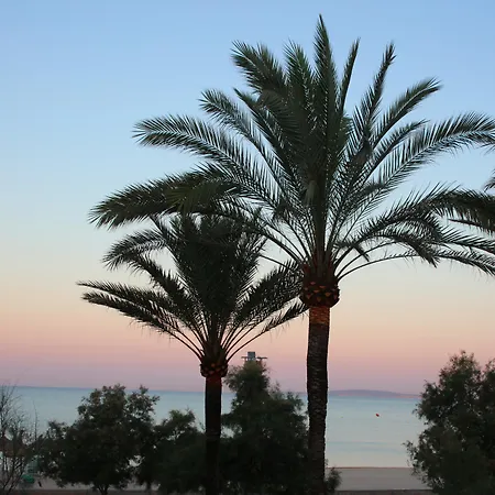 Szálloda Iberostar Waves Bahia De Palma - Adults Only Playa de Palma (Mallorca)